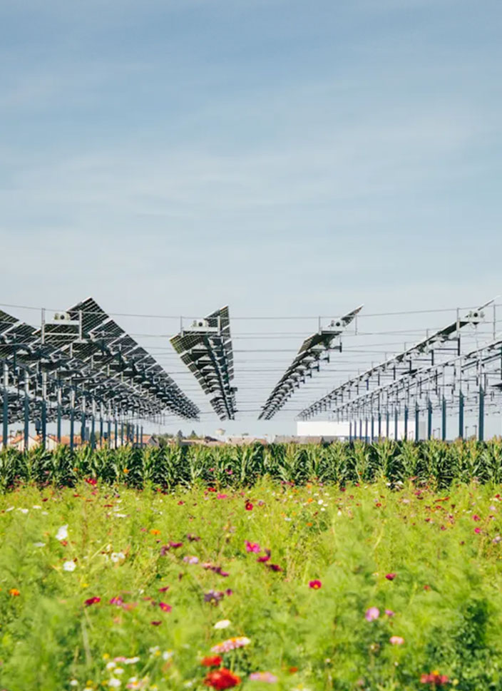 Tenso-structures Civil engineering structure